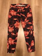 DIDI Broek Maat 42 met Leuke Print, Kleding | Dames, Overige kleuren, Maat 42/44 (L), Ophalen of Verzenden, Zo goed als nieuw
