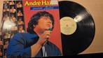 Andre Hazes - Gewoon Andre, Cd's en Dvd's, Ophalen of Verzenden, Gebruikt, 12 inch, Levenslied of Smartlap