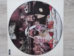 Cheech & Chong/Picturedisc Only/No Sound, Ophalen of Verzenden, Gebruikt, 12 inch