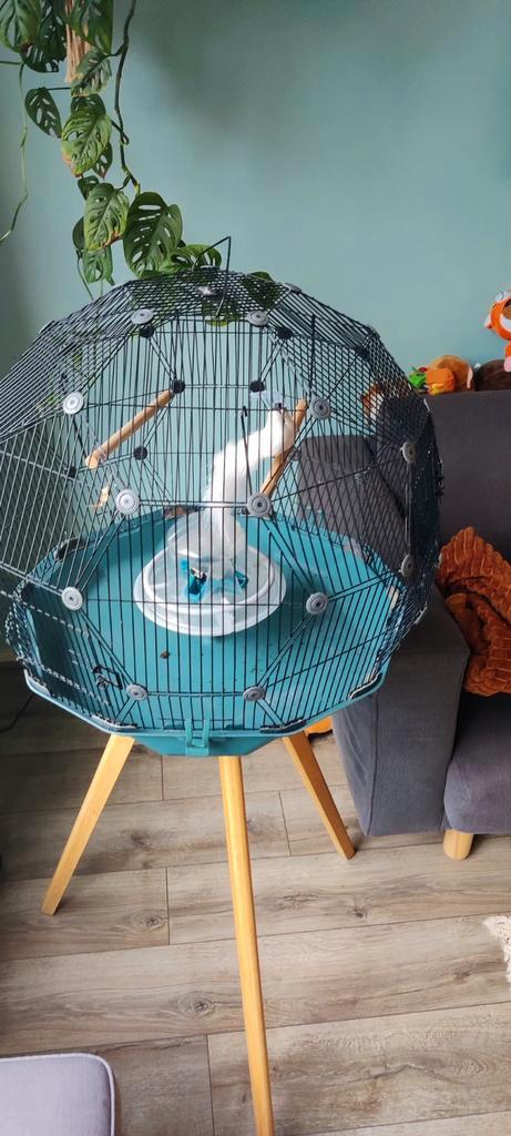 Omlet vogelkooi met nachthoes blauw en speelgoed, Dieren en Toebehoren, Vogels | Hokken en Kooien, Zo goed als nieuw, Vogelkooi