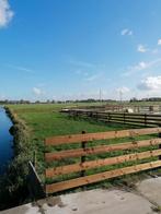 Paardenbox mét uitloop, Dieren en Toebehoren, Stalling en Weidegang, Weidegang