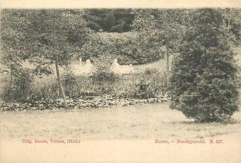 (380-109-003) Doorn Boschgezicht, Verzamelen, Ansichtkaarten | Nederland, Utrecht, Verzenden