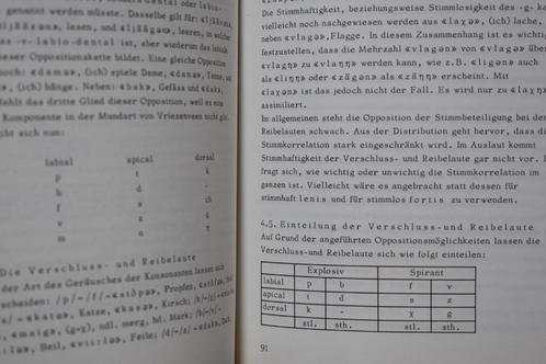 Die Mundart des Dorfes Vriezenveen (Overijssel) 1970-, Boeken, Studieboeken en Cursussen, Gelezen, WO, Alpha, Ophalen of Verzenden