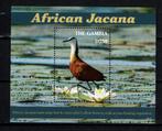 gambia 2019 pf blok lelieloper jacana vogels birds, Ophalen of Verzenden, Postfris, Dier of Natuur