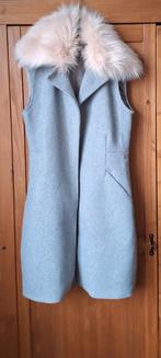 Josh V Gilet Grijs Maat S, Kleding | Dames, Ophalen of Verzenden, Zo goed als nieuw, Maat 36 (S), Josh V