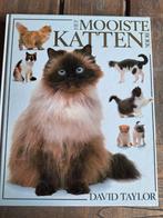 Het Mooiste Kattenboek - David Taylor, Ophalen of Verzenden, Zo goed als nieuw, David Taylor