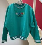 KANI - mooie sweater in aquamarijn, Overige kleuren, Nieuw, Ophalen of Verzenden, Maat 36 (S)