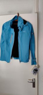 Pikeur softshell jasje met capuchon, Ophalen of Verzenden, Nieuw, Dressuur, Bovenkleding