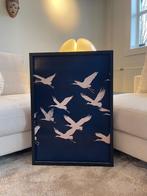 Vogels Poster 50x70 cm let op alleen de poster, Verzamelen, Posters, Verzenden, Nieuw, Rechthoekig Staand
