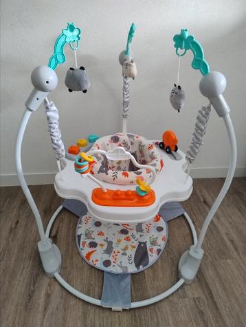Baninni Baby Jumper Salta Grijs beschikbaar voor biedingen