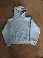 Lichtgrijze Hoodie mt 146/ 152, Meisje, Trui of Vest, H&M, Ophalen of Verzenden