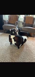 Unieke fauteuil met koeienhuid bekleding, Minder dan 50 cm, Gebruikt, Minder dan 75 cm, Leer