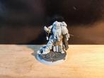 Primaris Apothecary - Adeptus Astartes, Hobby en Vrije tijd, Wargaming, Gebruikt, Verzenden, Figuurtje(s), Warhammer 40000