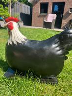 Leuke kip, Tuin en Terras, Ophalen of Verzenden