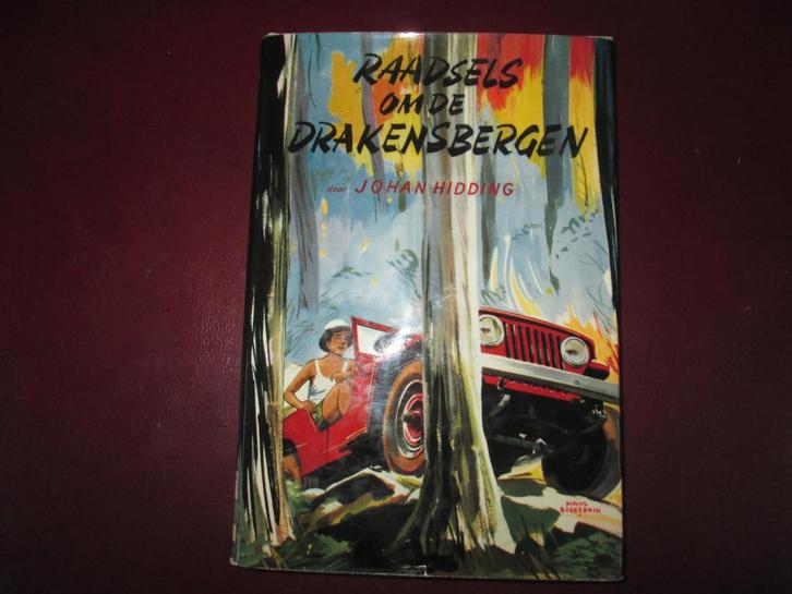 Johan Hidding, Raadsels om de Drakensbergen, Boeken, Kinderboeken | Jeugd | 10 tot 12 jaar, Zo goed als nieuw, Fictie, Ophalen of Verzenden