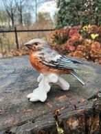 GOEBEL mooie vogel ❤️ Buckvink Boekvink, Verzamelen, Ophalen of Verzenden, Zo goed als nieuw, Dier
