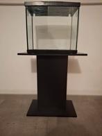 Aquarium, 43x40x28, Ophalen of Verzenden, Zo goed als nieuw, Leeg aquarium
