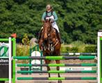 Freejump Beugels Blauw, Dieren en Toebehoren, Paarden en Pony's | Hoofdstellen en Tuigage, Ophalen of Verzenden, Gebruikt, Springen