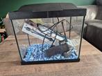 Aquarium 20 liter + toebehoren, Dieren en Toebehoren, Vissen | Aquaria en Toebehoren, Ophalen of Verzenden, Zo goed als nieuw