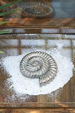 Riviera Maison zeeschelp - Nautulis, Huis en Inrichting, Ophalen, Zo goed als nieuw