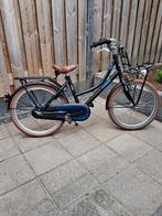 20 inch Alpina Cargo Meisjesfiets, Fietsen en Brommers, Fietsen | Meisjes, Ophalen, Gebruikt, 20 inch, Handrem