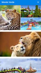 Ticket 2X Mondo Verde, Drie personen of meer, Ticket of Toegangskaart