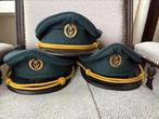 Harmoniepetten, Ophalen of Verzenden, Gedragen, Maat 52/54 (L), Carnaval