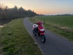 Peugeot vivacity, Twee personen, Overige typen