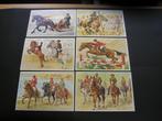 Voor het Kind Ansichtkaarten 1980 Paardensport, Verzamelen, Ansichtkaarten | Themakaarten, Verzenden, 1960 tot 1980, Ongelopen