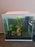 SuperFish Aquarium incl. vissen en alles wat je nodig hebt, Ophalen of Verzenden, Zo goed als nieuw, Gevuld zoetwateraquarium