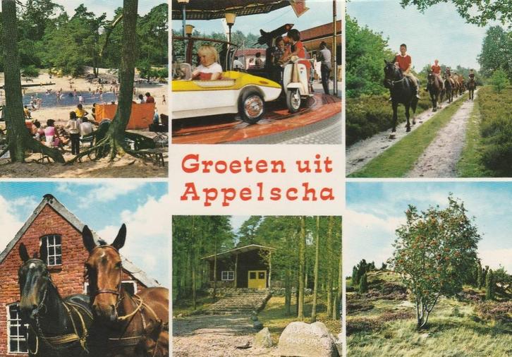 APPELSCHA Duinen Paarden Draaimolen Bos Groeten, Verzamelen, Ansichtkaarten | Nederland, Gelopen, Friesland, 1960 tot 1980, Verzenden