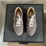 Helioform schoenen, Kleding | Dames, Ophalen, Overige kleuren, Overige typen, Zo goed als nieuw