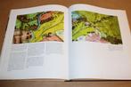 De Rijke Historie van Vestingstad Groenlo — Uitgave Museum, Boeken, Ophalen of Verzenden, 20e eeuw of later, Zo goed als nieuw