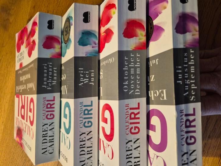 Nooit verliefd worden - januari/februari/maart, Boeken, Literatuur, Gelezen, Ophalen of Verzenden