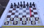schaakspel, Een of twee spelers, Ophalen of Verzenden, Zo goed als nieuw