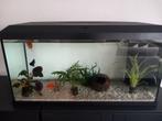 Juwel aquarium inclusief 4 vissen, Dieren en Toebehoren, Vissen | Aquaria en Toebehoren, Verzenden, Zo goed als nieuw, Verlichting of Verwarming