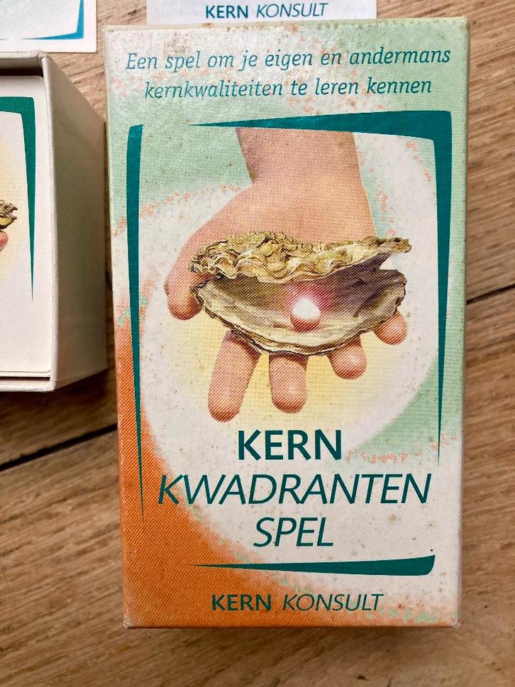 Kernkwadrantenspel bij coaching en training, Boeken, Advies, Hulp en Training, Zo goed als nieuw, Ophalen of Verzenden