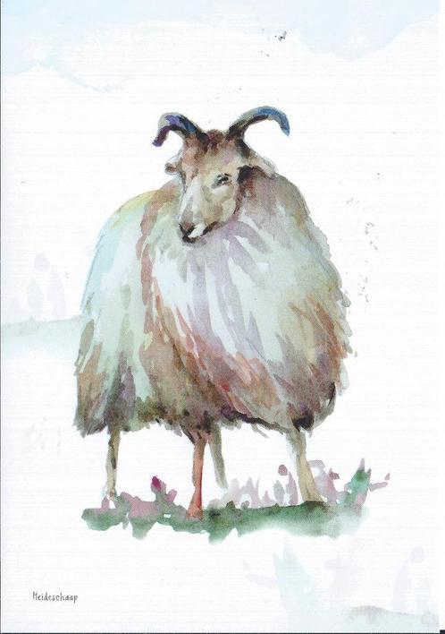 Heideschaap-Ree en een Grove Den  3 kaarten Drente , Verzamelen, Ansichtkaarten | Dieren, Ongelopen, 1980 tot heden, Overige soorten