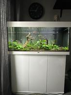 Aquarium Jewel 180L wit, incl toebehoren, zie beschrijving, Dieren en Toebehoren, Vissen | Aquaria en Toebehoren, Ophalen, Gebruikt