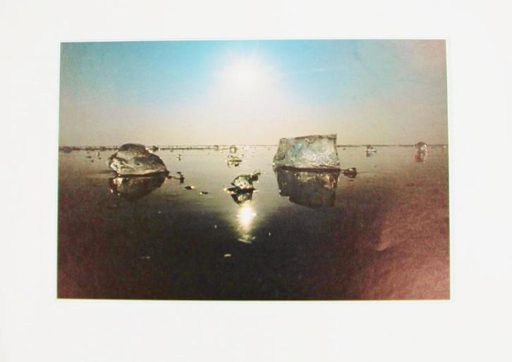 4 verstilde kleurenprints van natuurfoto's van Martin Kers, Antiek en Kunst, Kunst | Tekeningen en Foto's, Ophalen