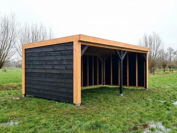 Douglas Overkapping met zwart rabat kompleet !, Tuin en Terras, Bergingen en Tuinkasten, Nieuw, Overige typen, Hout, Ophalen of Verzenden