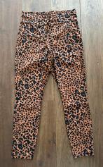 Studio Anneloes Broek, Maat: S, Bruin, Nieuw, Ophalen of Verzenden, Maat 36 (S)