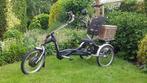 Van Raam Easy Rider, Ophalen, Zo goed als nieuw, Van Raam