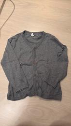 Vestje hm 104, Kinderen en Baby's, Kinderkleding | Maat 104, Ophalen of Verzenden, Meisje, Trui of Vest