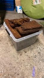 Varenwortel plaatjes, Ophalen of Verzenden, Zo goed als nieuw, Terrarium of Paludarium