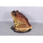 Frog Great Barred – Kikkerbeeld - 128 cm, Verzamelen, Dierenverzamelingen, Nieuw, Ophalen