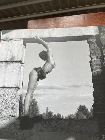 Ger van Meel Image 2004 nieuw beschikbaar voor biedingen