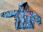 Vest met capuchon / hoody maat 104, Ophalen, Trui of Vest, Zo goed als nieuw, Jongen of Meisje