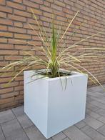 Nieuwe stalen plantenbak / bloembak 50x50x50 en 60x60x60, Ophalen of Verzenden, Nieuw, Rond, Minder dan 60 cm