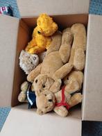 beren, Ophalen of Verzenden, Zo goed als nieuw, Overige typen, Overige merken